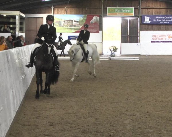 Reitturnier Viernheim 2020