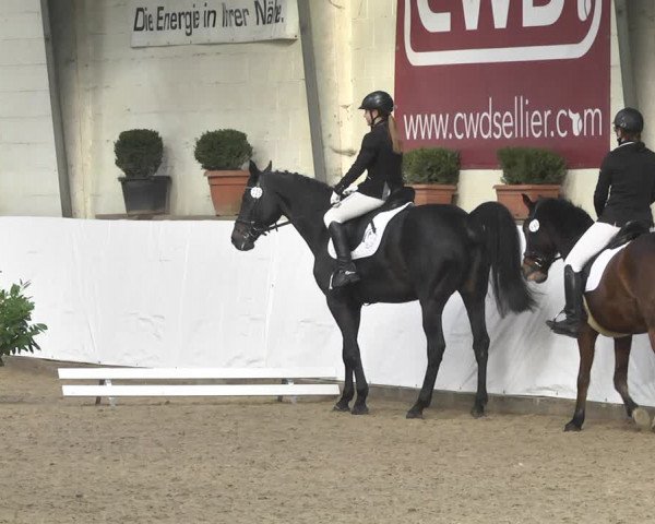 Reitturnier Viernheim 2020