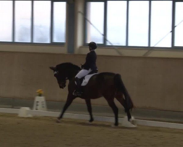 Reitturnier Kreuth/Opf. 2020