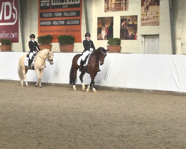 Reitturnier Viernheim 2020