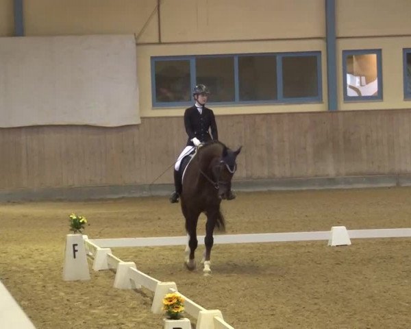 Reitturnier Kreuth/Opf. 2020