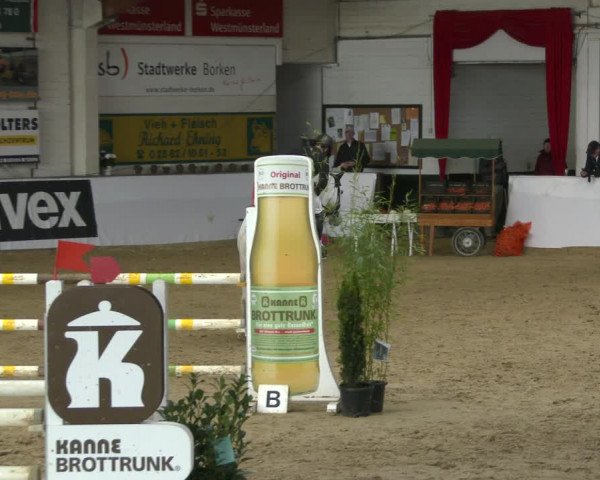 Reitturnier Borken 2020