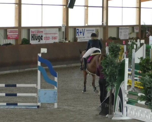 Reitturnier Dettingen 2020