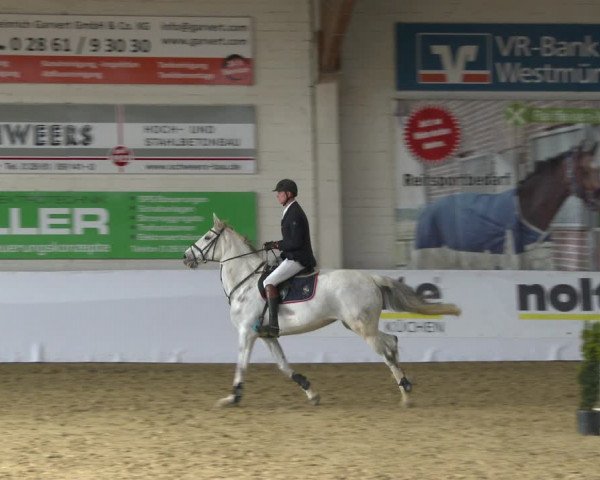 Reitturnier Borken 2020