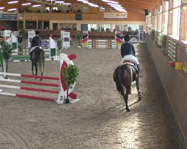 Reitturnier Dettingen 2020