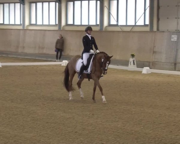 Reitturnier Kreuth/Opf. 2020