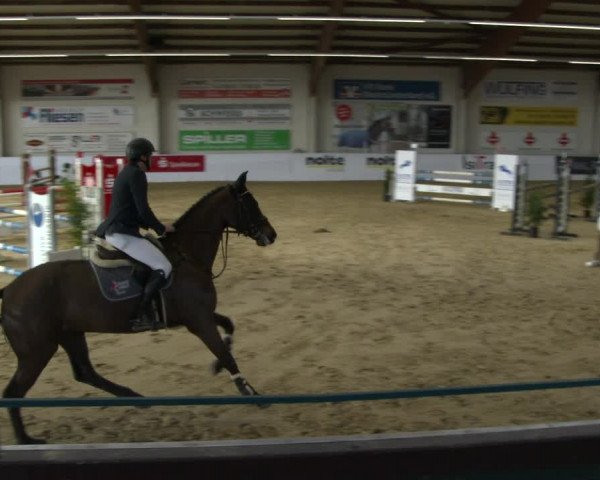 Reitturnier Borken 2020