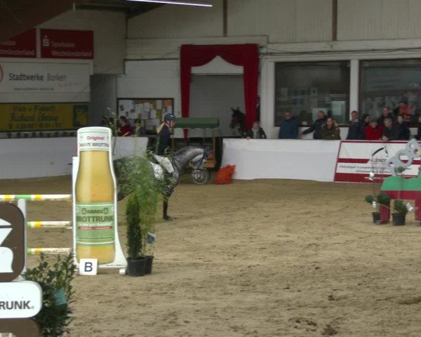 Reitturnier Borken 2020