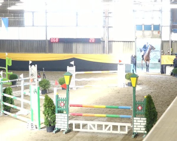 Reitturnier Erlen 2020