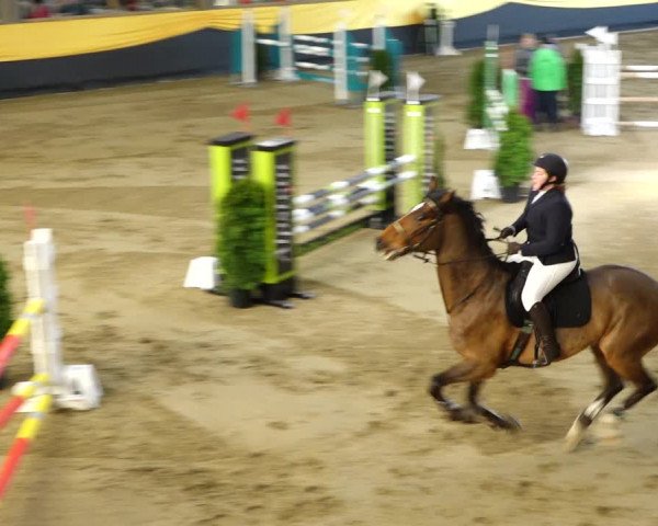 Reitturnier Erlen 2020