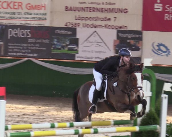 Reitturnier Keppeln - Reitanlage "Hötzenhof" 2020