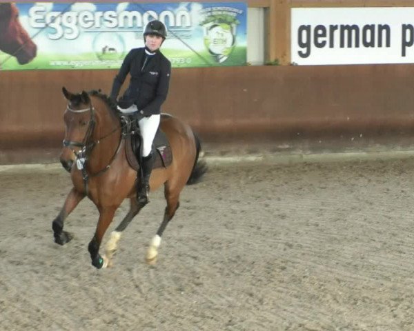 Reitturnier Dettingen 2020