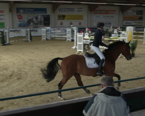 Reitturnier Borken 2020