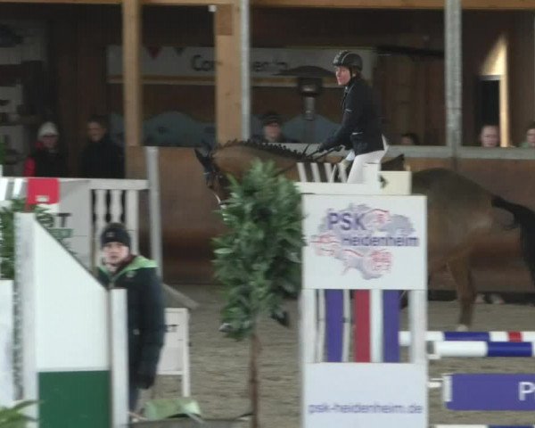 Reitturnier Dettingen 2020
