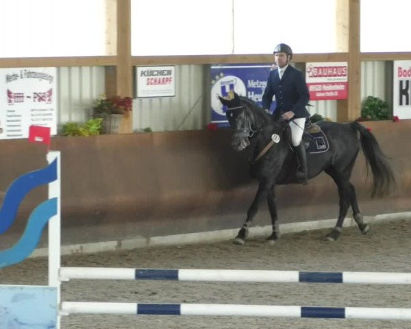Reitturnier Dettingen 2020