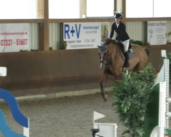 Reitturnier Dettingen 2020