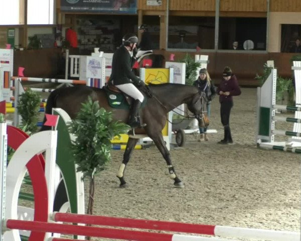 Reitturnier Dettingen 2020