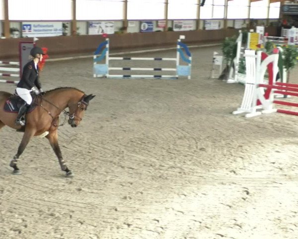 Reitturnier Dettingen 2020