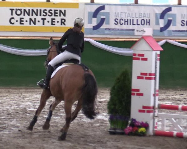 Reitturnier Keppeln - Reitanlage "Hötzenhof" 2020