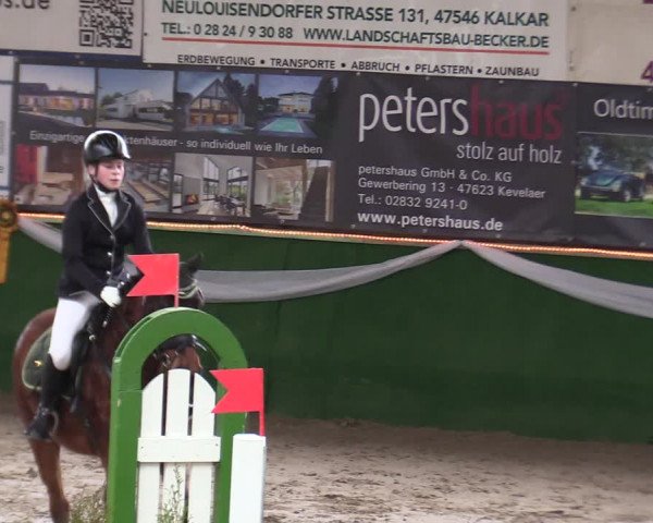 Reitturnier Keppeln - Reitanlage "Hötzenhof" 2020