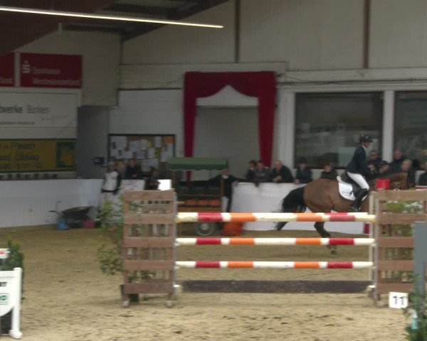 Reitturnier Borken 2020