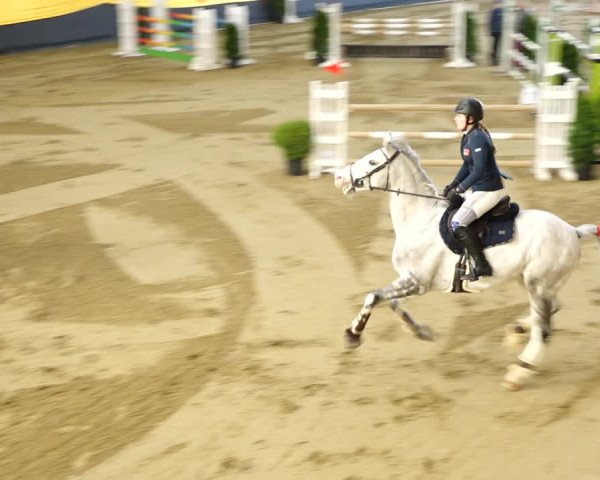Reitturnier Erlen 2020