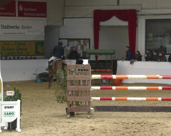 Reitturnier Borken 2020