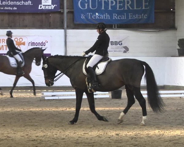 Reitturnier Viernheim 2020