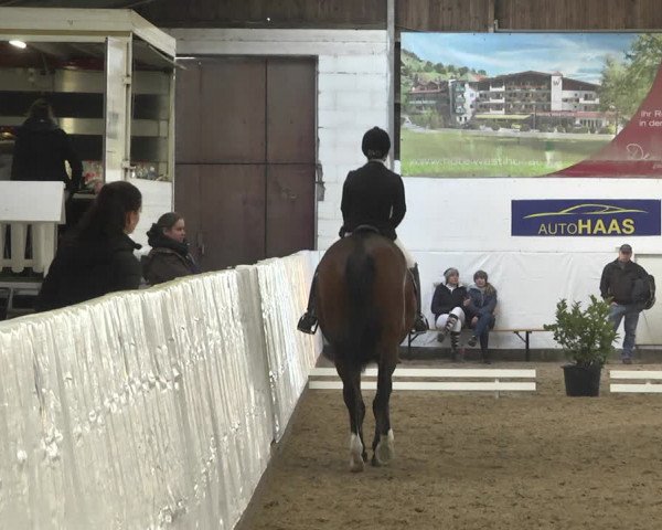 Reitturnier Viernheim 2020