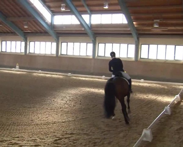 Reitturnier Kreuth/Opf. 2020