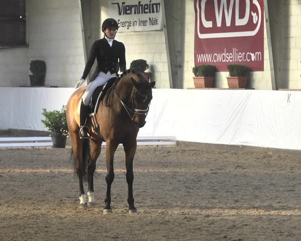 Reitturnier Viernheim 2020