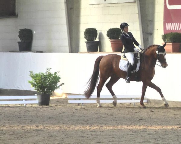 Reitturnier Viernheim 2020