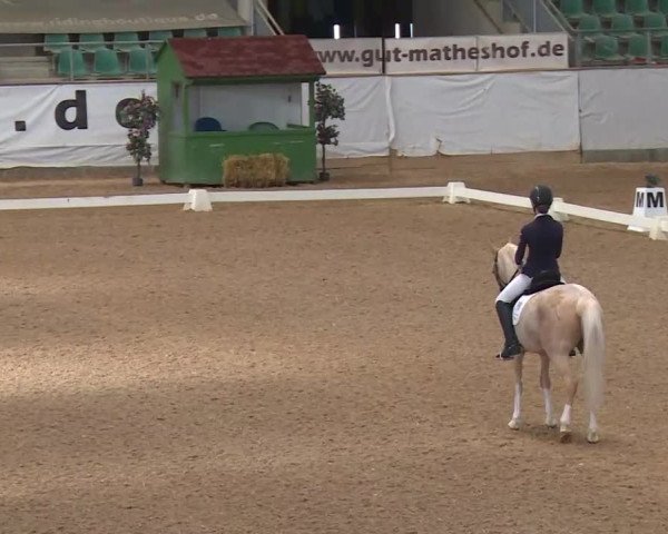 Reitturnier Kreuth/Opf. 2020