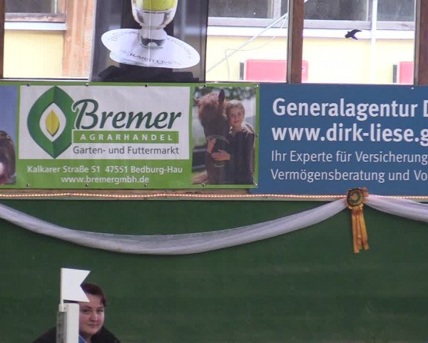 Reitturnier Keppeln - Reitanlage "Hötzenhof" 2020