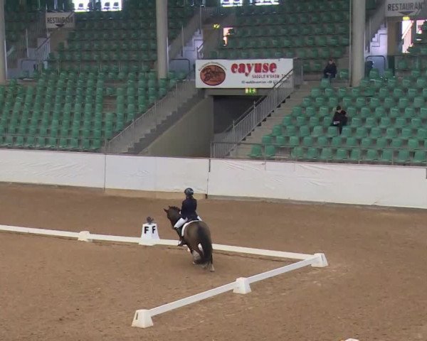 Reitturnier Kreuth/Opf. 2020