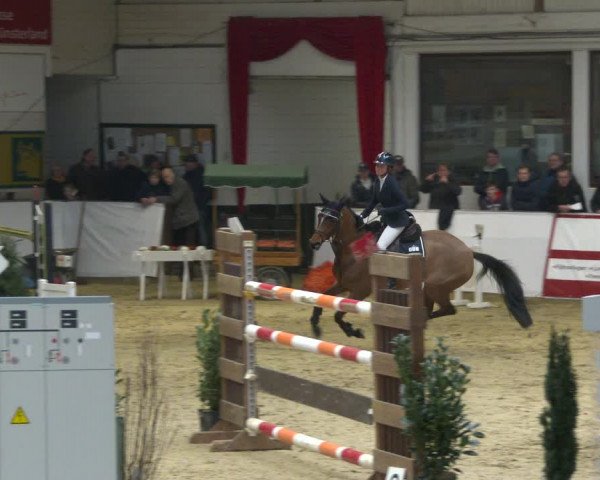 Reitturnier Borken 2020
