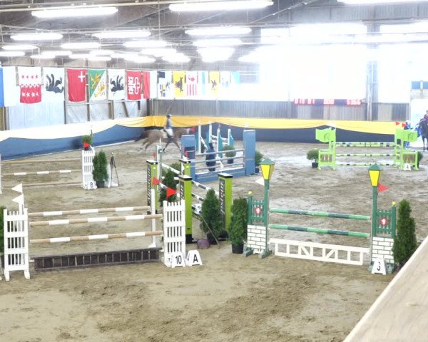 Reitturnier Erlen 2020