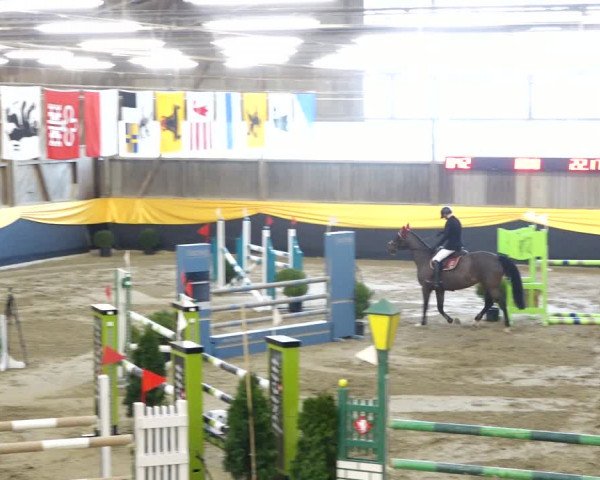 Reitturnier Erlen 2020