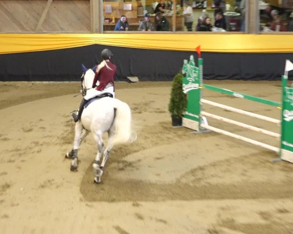 Reitturnier Erlen 2020