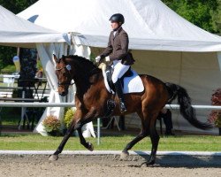 dressage horse Real Bahia Blue (Westphalian, 2006, from Real Diamond)