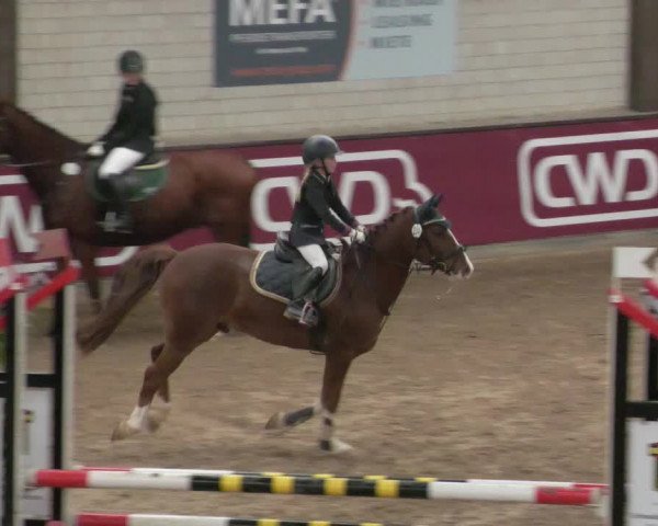 Reitturnier Heilbronn 2021