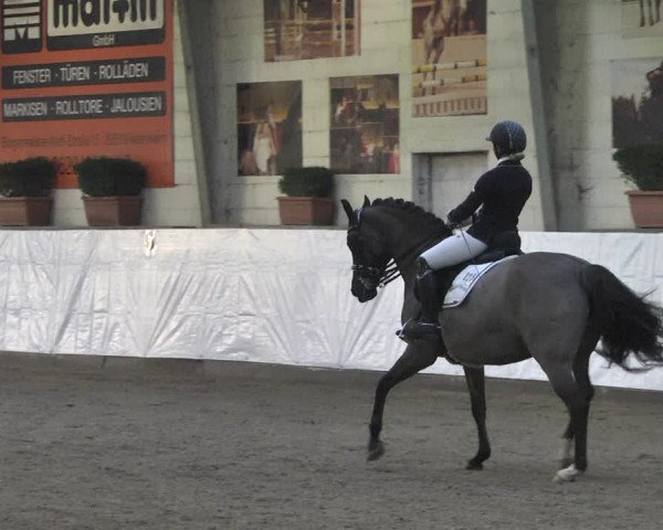 Reitturnier Viernheim 2020