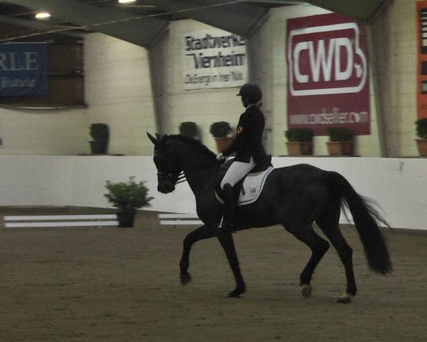 Reitturnier Viernheim 2020