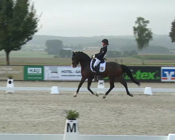 Süddeutsche Ponymeisterschaften Rot am See- Musdorf 2021