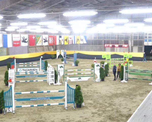 Reitturnier Erlen 2020