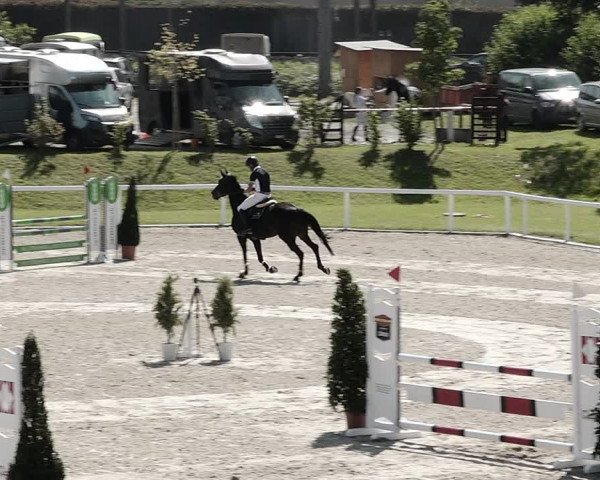 Pferdesporttage Bülach 2021