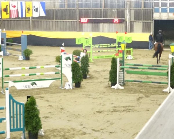 Reitturnier Erlen 2020