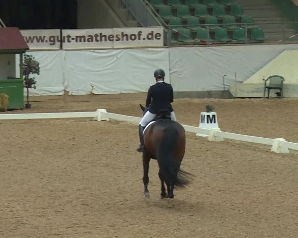 Reitturnier Kreuth/Opf. 2020
