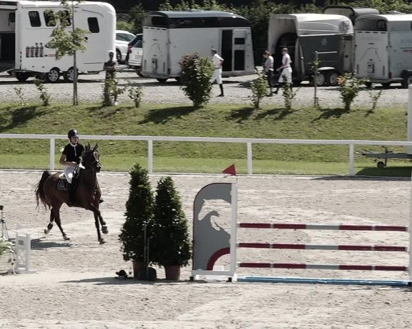 Pferdesporttage Bülach 2021