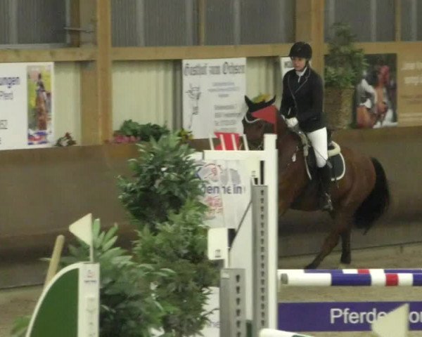 Reitturnier Dettingen 2020